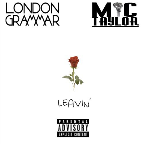 Mic Taylor- Leave Me