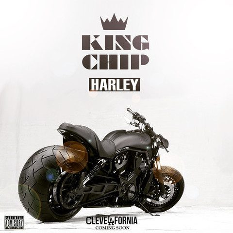King Chip Harley
