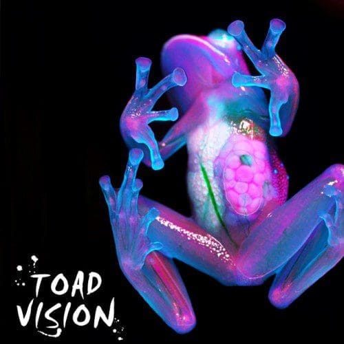 Frank Leone Saba - Toad Vision