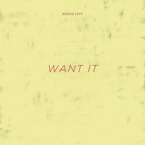 Bernie Levv – Want It