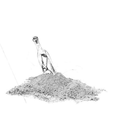 Donnie Trumpet Surf