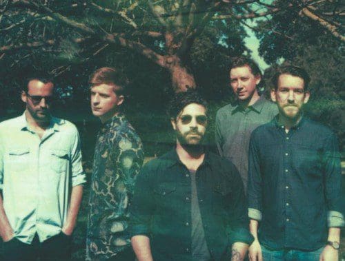 Foals