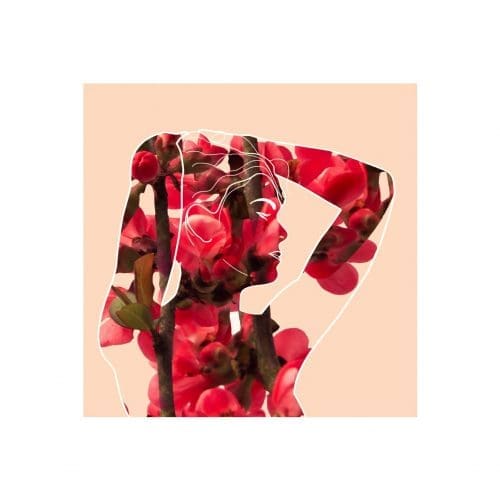 zuma-ruby-cover